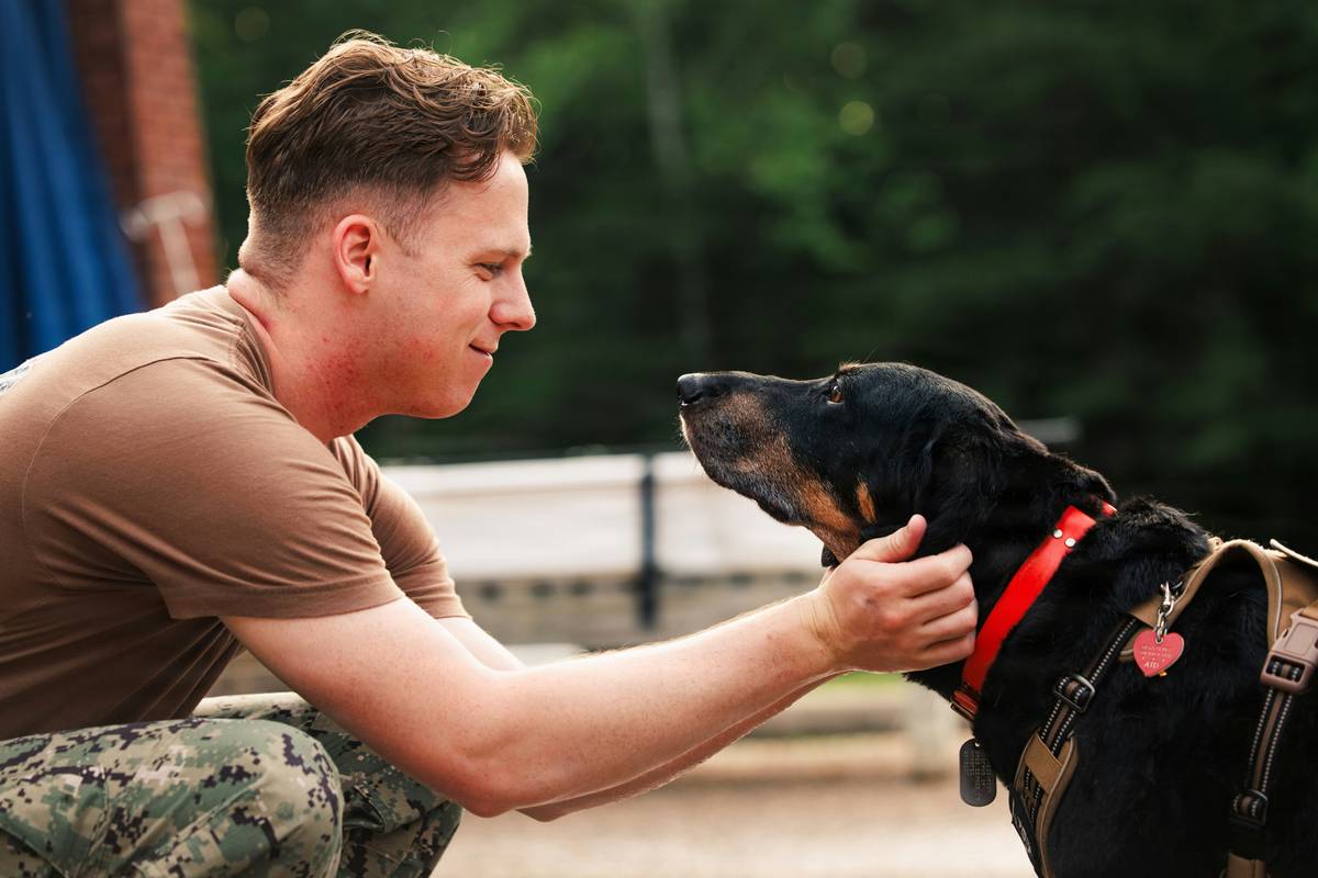 Team huddle during coordination rescue mission for anxious German Shepherd mix