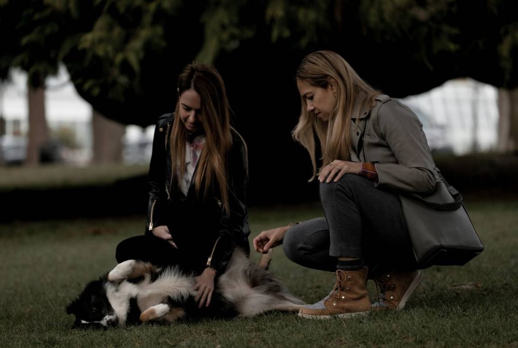 How Team After-Action Review Transforms Rescue Dog Training Outcomes