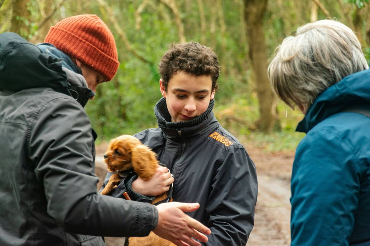 Dog Rescue Coordination: 7 Proven Steps to Avoid Chaotic Mistakes
