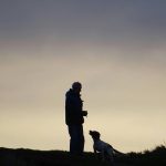 Canine Scent Search Training: 7 Proven Ways to Avoid Costly Mistakes with Rescue Dogs