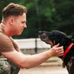 Dog Rescue Team Dynamics: 7 Proven Ways to Avoid Costly Coordination Mistakes