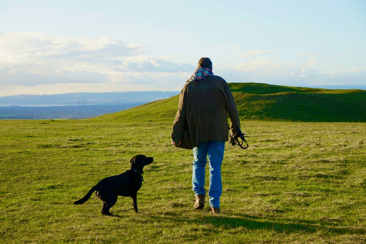 Dog Scent Tracking Method: 7 Proven Ways to Avoid Costly Mistakes with Rescue Dogs